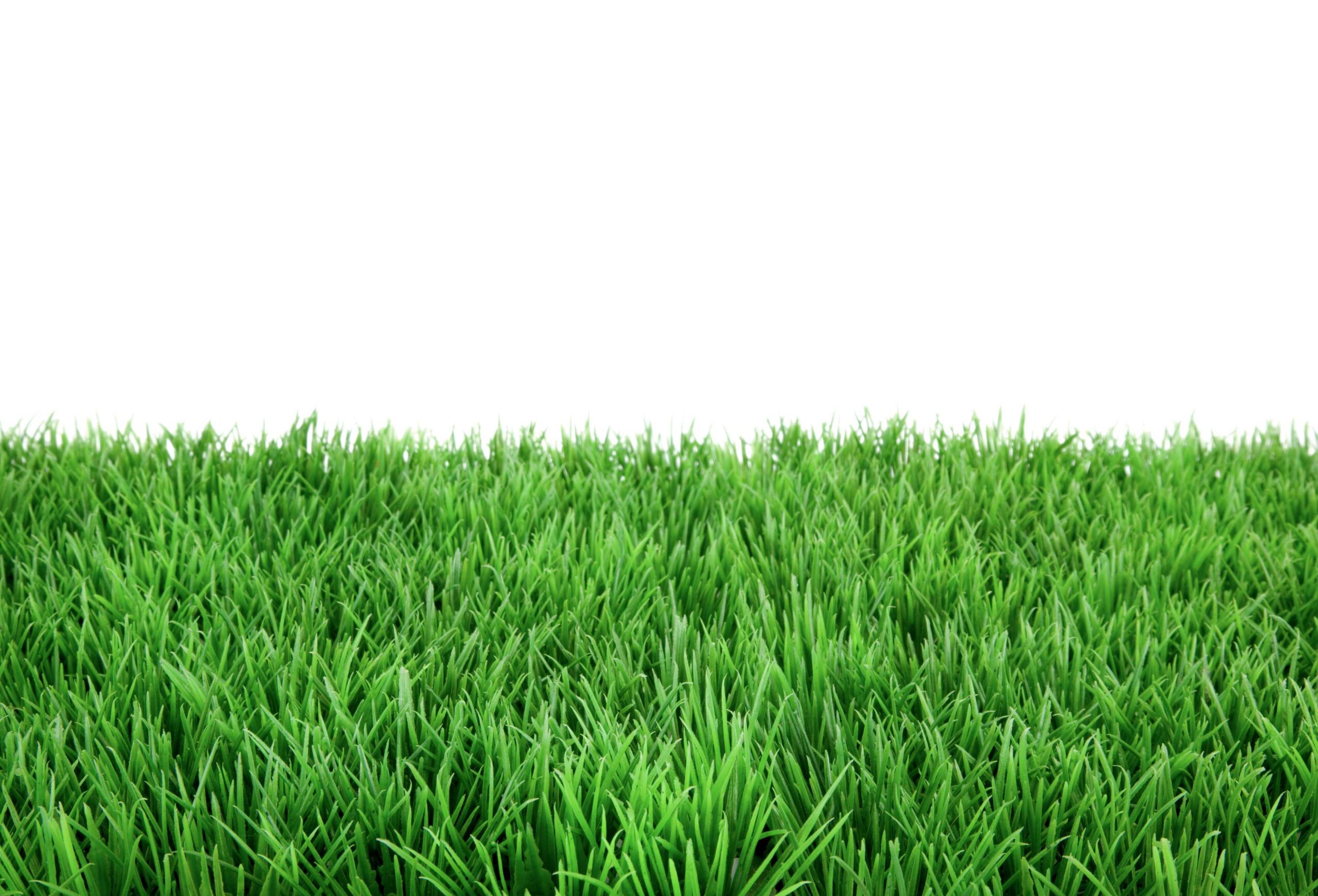 kunstgras